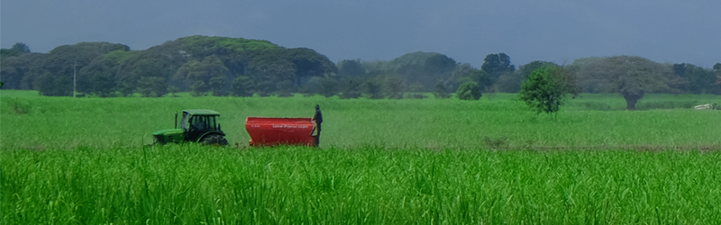 Encuesta nacional agropecuaria (ENA)