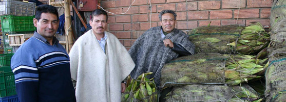 Sistema de información de precios del sector agropecuario