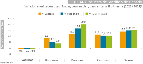 Gráfica ESAG Gráfica ESAG