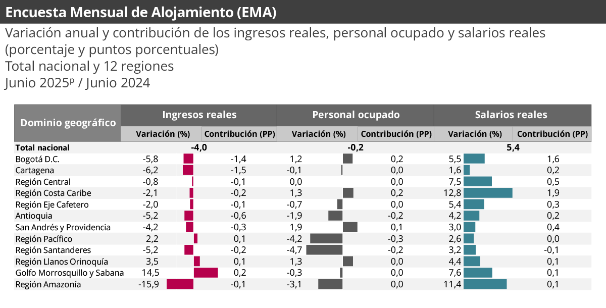 Gráfica Encuesta mensual de alojamiento (EMA) junio 2025 Gráfica Encuesta mensual de alojamiento (EMA) junio 2025