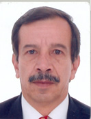 Germán Pérez H.