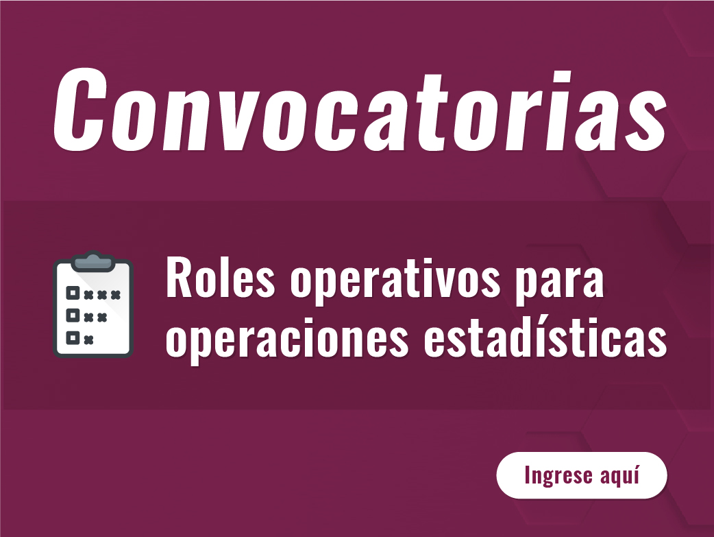 Convocatoria Roles Operativos