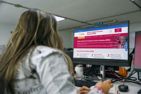 Consulta del aplicativo BPSO en página web