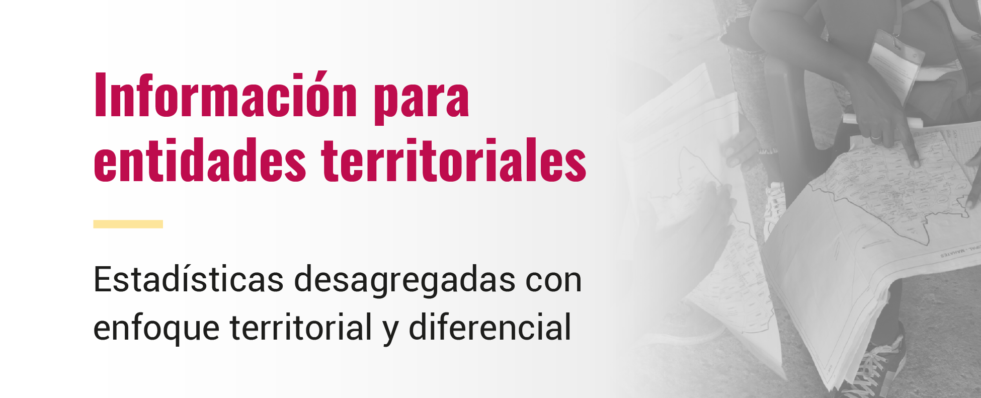 Presentaciones del Director de DANE a entidades territoriales