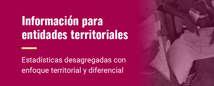 Presentaciones del Director de DANE a entidades territoriales