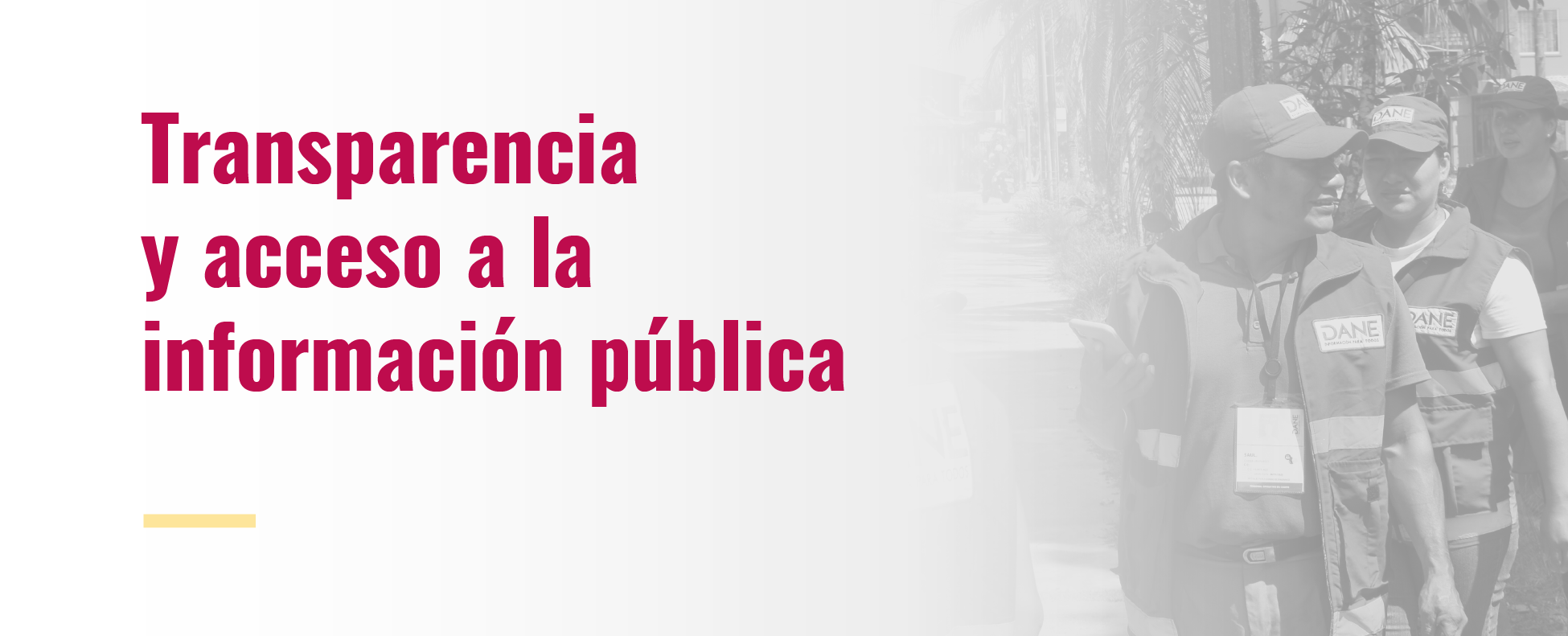 Transparencia y acceso a la información publica