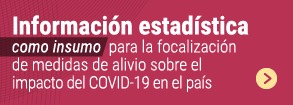 Consultar Información estadística como insumo para la focalización de medidas de alivio sobre el impacto del COVID-19 en el país
