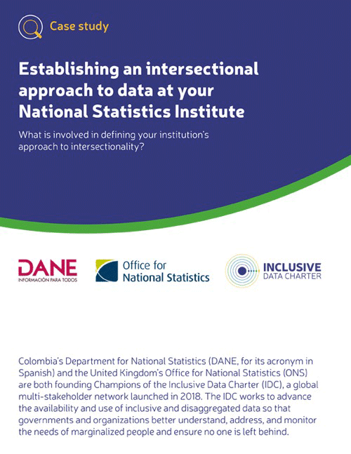 Imagen de la publicación Establishing an intersectional approach to data at your National Statistics Institute