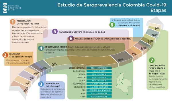 Etapas en las que se realizará el estudio de Seroprevalencia Colombia Covid -19.