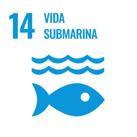 Imagen Vida submarina Imagen Vida submarina