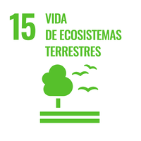 Imagen Vida de ecosistemas terrestres Imagen Vida de ecosistemas terrestres