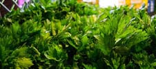 Imagen de alimentos enlazada al boletín semanal del Sipsa