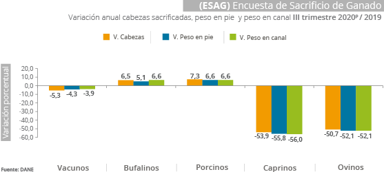 Animal Slaughter Survey III-2020