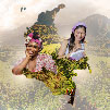 Imagen de mujeres campesinas, afrodecendientes Imagen de mujeres campesinas, afrodecendientes