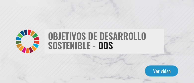 Objetivos de Desarrollo Sostenible