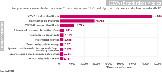 Gráfica Estadisticas Vitales