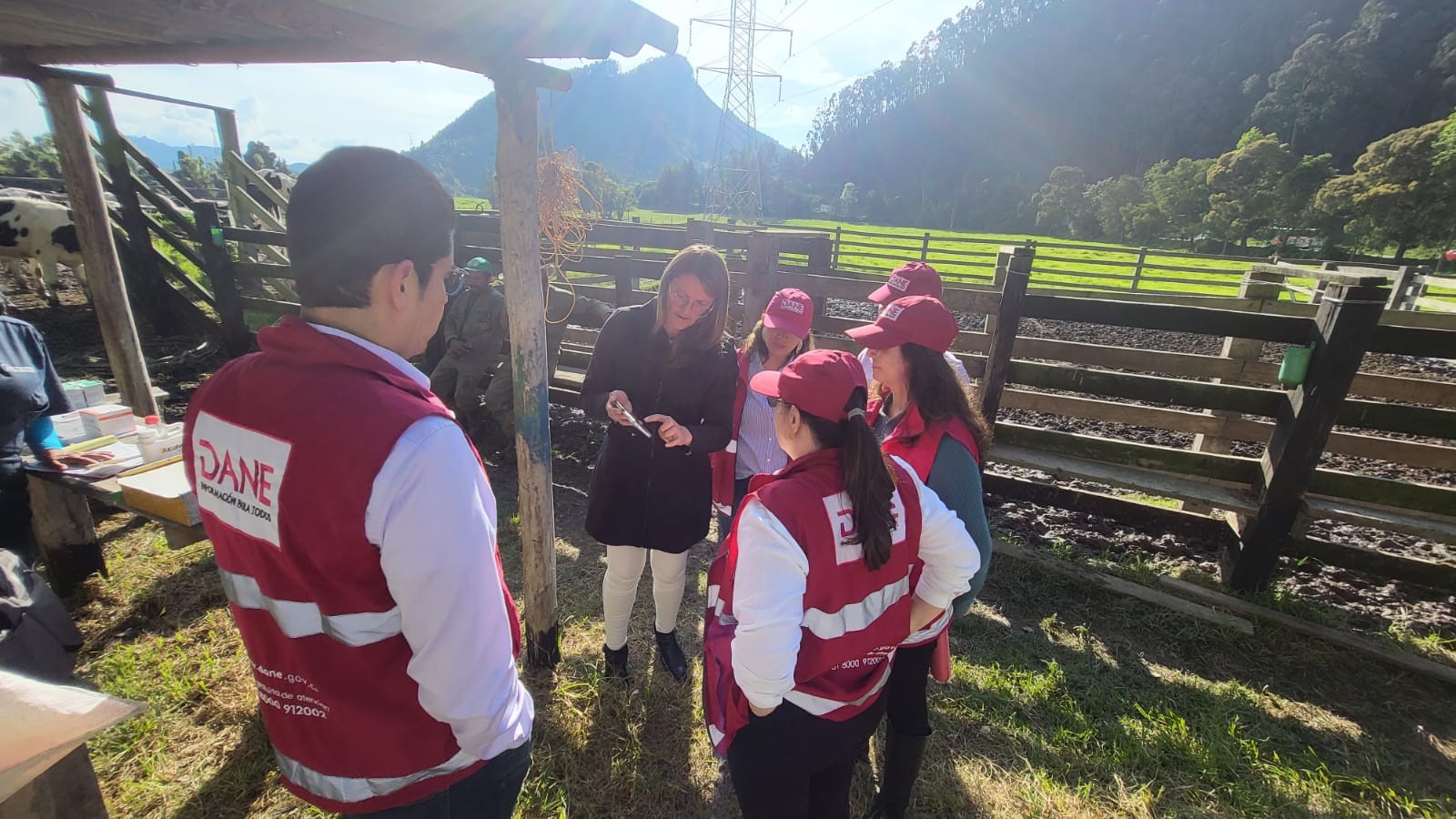 El DANE acompañó proceso de vacunación bovina y bufalina con el ICA y Fedegán