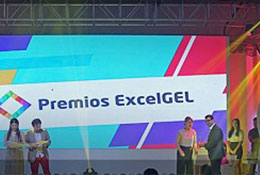 Premios ExcelGEL 2015
