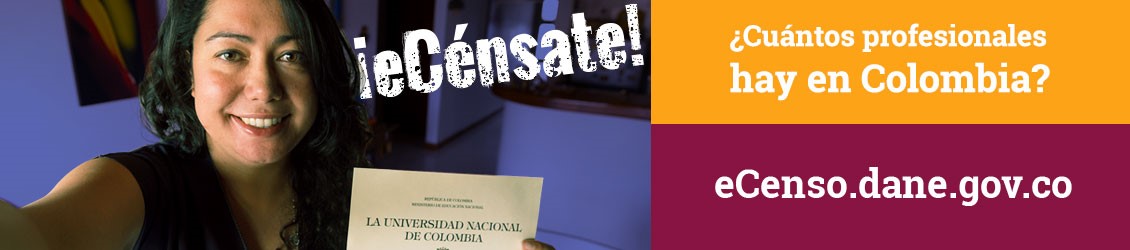 ¿Cúantos profesionales hay en Colombia?