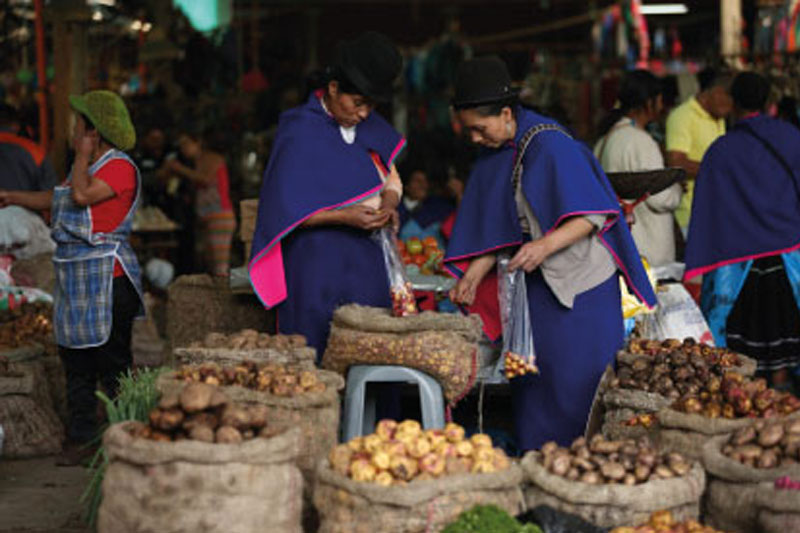 Mujeres indígenas con vestimenta tradicional azul empacando productos agrícolas en bolsas dentro de un mercado