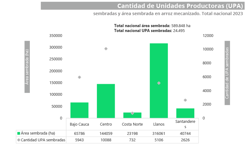 Grafica Quinto Censo Nacional Arrocero (5° CNA 2023)