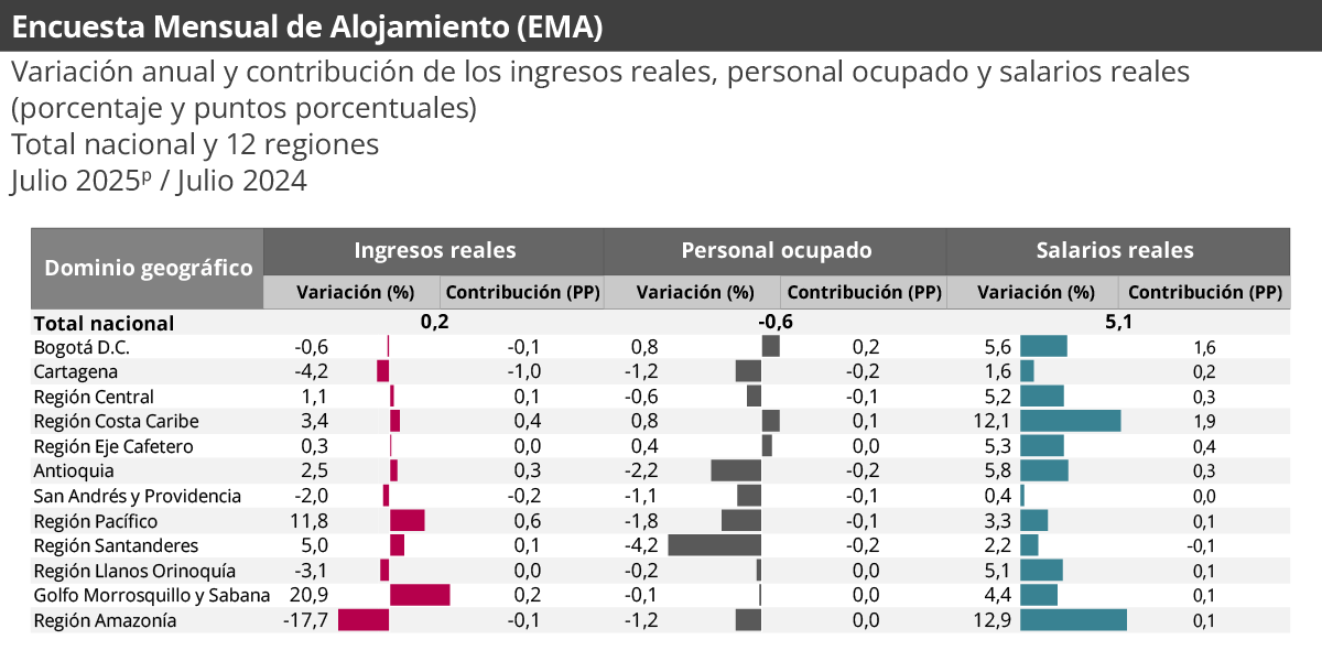 Gráfica Encuesta mensual de alojamiento (EMA) julio 2025