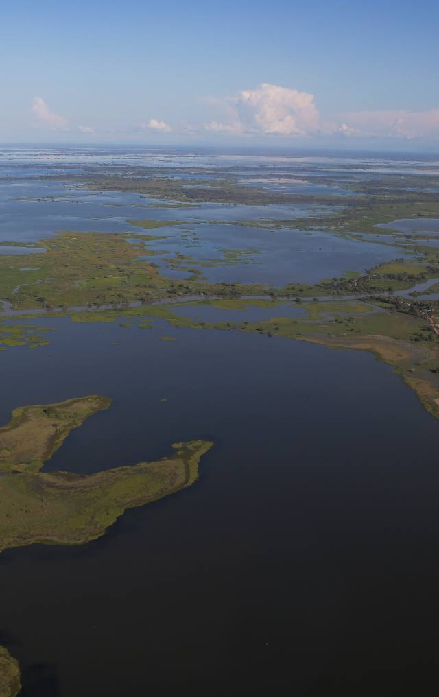 Vista aérea de humedales y lagunas tropicales, con islas de vegetación entre cuerpos de agua y nubes al horizonte.