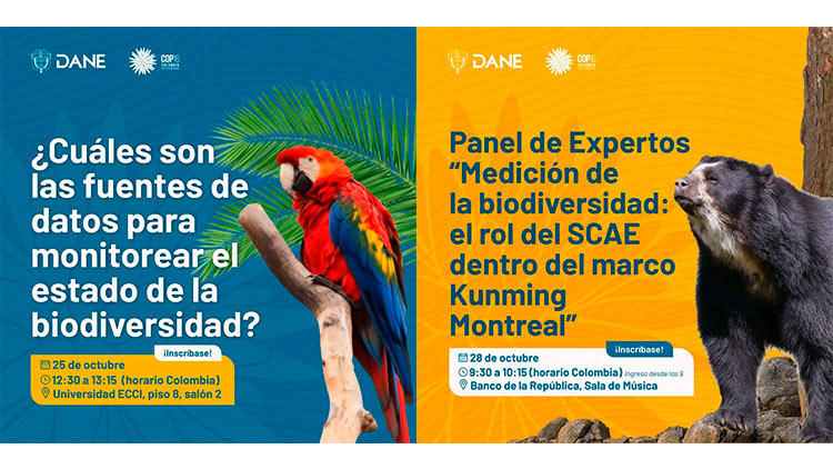 Diseño de portada de dos actividades del DANE en la COP16
