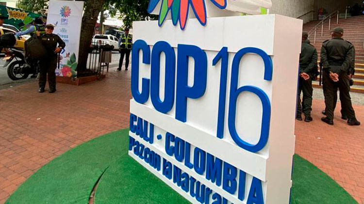 Fotografía de letrero de la COP16