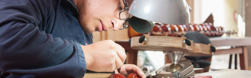 Microestablecimientos