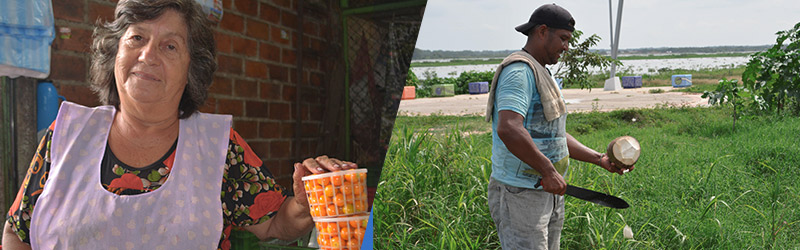 Mercado Laboral Según Sexo Imagen compuesta por dos fotografías: a la izquierda una mujer de unos 60 años en un puesto de plaza de mercado con una mano sobre un tarro con uchuvas, y a la derecha, un hombre de unos 40 años pelando un coco con un machete