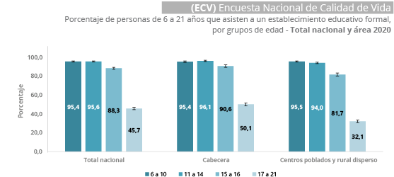 Gráfica Encuesta Nacional de Calidad de Vida (ECV) 2020 Gráfica Encuesta Nacional de Calidad de Vida (ECV) 2020