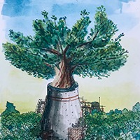 Imagen “Cambio Climático y el rol de los bosques en la Neutralidad del Carbono”. Imagen “Cambio Climático y el rol de los bosques en la Neutralidad del Carbono”.