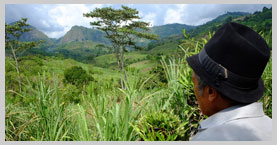 Compendio de Estadísticas Asociadas al Desarrollo Sostenible - CEADS Compendio de Estadísticas Asociadas al Desarrollo Sostenible - CEADS